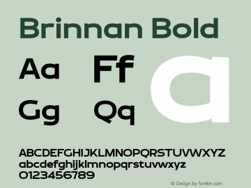 Brinnan Bold Version 001.000;YWFTv17图片样张