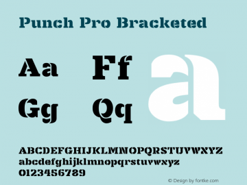 Punch Pro Bracketed Version 1.0 Font Sample