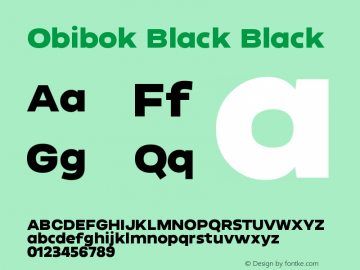 Obibok Black Version 1.000;PS 001.000;hotconv 1.0.88;makeotf.lib2.5.64775图片样张