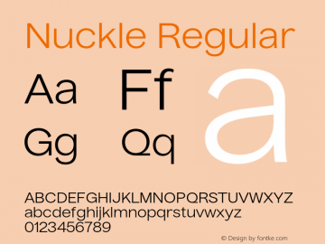 Nuckle Regular Version 1.032;PS 1.32;hotconv 1.0.88;makeotf.lib2.5.647800 Font Sample