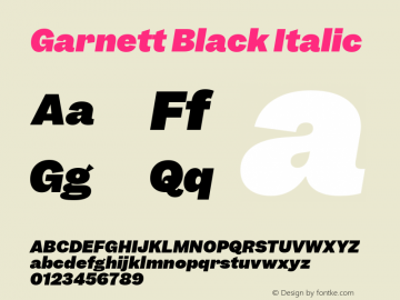 Garnett Black Italic Version 1.000;PS 1.000;hotconv 16.6.51;makeotf.lib2.5.65220图片样张