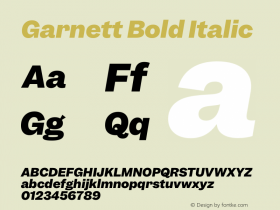 Garnett Bold Italic Version 1.000;PS 1.000;hotconv 16.6.51;makeotf.lib2.5.65220图片样张