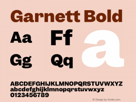 Garnett Bold Version 1.000;PS 1.000;hotconv 16.6.51;makeotf.lib2.5.65220图片样张