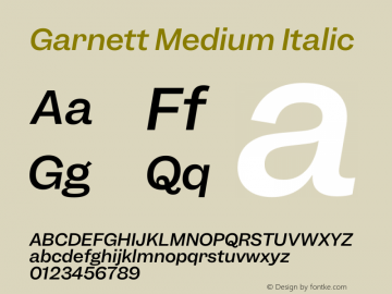 Garnett Medium Italic Version 1.000;PS 1.000;hotconv 16.6.51;makeotf.lib2.5.65220 Font Sample