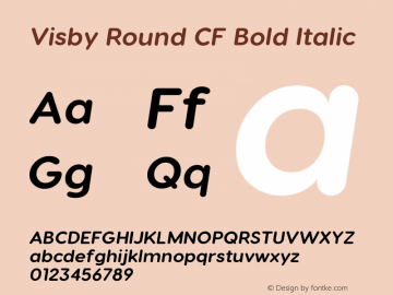 VisbyRoundCF-BoldItalic Version 2.100 | wf jerry Font Sample