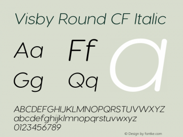 VisbyRoundCF-LightItalic Version 2.100 | wf jerry Font Sample