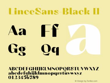 ☞LinceSans-Black Version 1.000;com.myfonts.easy.typomancer.lince.sans-black.wfkit2.version.4org图片样张