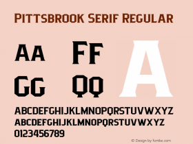 Pittsbrook Serif Version 1.000图片样张