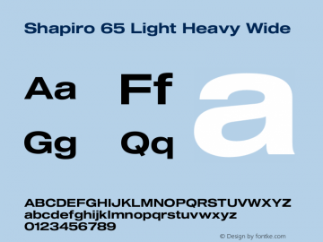 Shapiro 65 Light Heavy Wide Version 2.000;PS 002.000;hotconv 1.0.88;makeotf.lib2.5.64775图片样张