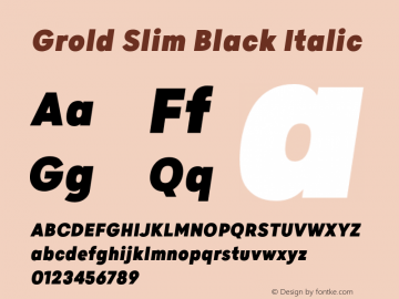 GroldSlim-BlackItalic Version 1.000;YWFTv17图片样张