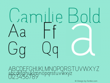 Camilie Bold Version 1.000;PS 001.000;hotconv 1.0.88;makeotf.lib2.5.64775 Font Sample