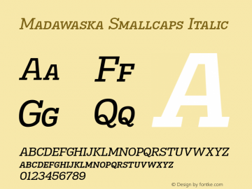 MadawaskaScRg-Italic Version 1.001图片样张