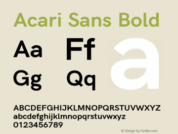 Acari Sans Bold Version 1.045; ttfautohint (v1.8.2) Font Sample