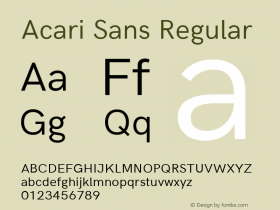 Acari Sans Regular Version 1.045; ttfautohint (v1.8.2) Font Sample