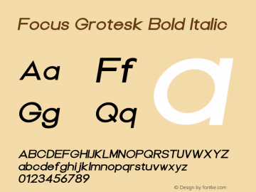 Focus Grotesk Bold Italic Version 1.000;PS 001.000;hotconv 1.0.88;makeotf.lib2.5.64775 Font Sample