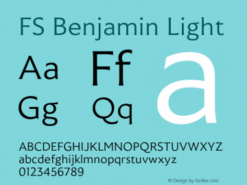 FSBenjamin-Light Version 1.001图片样张