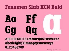 FenomenSlab-XCNBold Version 1.001;PS 001.001;hotconv 1.0.88;makeotf.lib2.5.64775 Font Sample