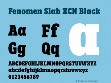 FenomenSlab-XCNBlack Version 1.001;PS 001.001;hotconv 1.0.88;makeotf.lib2.5.64775 Font Sample