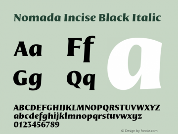 Nomada Incise Black Italic Version 1.001;hotconv 1.0.109;makeotfexe 2.5.65593 Font Sample