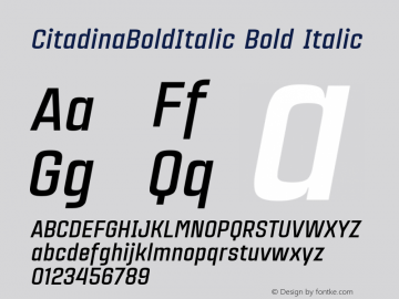CitadinaBoldItalic Version 001.001 ;com.myfonts.easy.graviton.citadina.bold-italic.wfkit2.version.4AeU图片样张