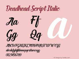 DeadheadScript-Italic 1.000图片样张