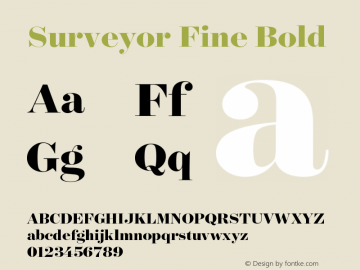 Surveyor Fine Bold Regular Version 1.200 Pro Font Sample