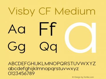 Visby CF Medium Version 1.005;PS 001.005;hotconv 1.0.70;makeotf.lib2.5.58329 Font Sample