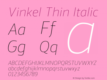 Vinkel-ThinItalic 1.000 Font Sample
