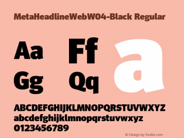 MetaHeadlineWeb W04 Black Version 7.504 Font Sample