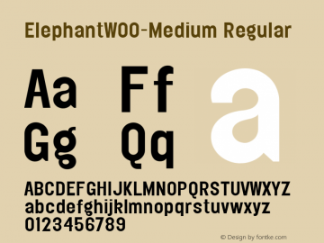 Elephant W00 Medium Version 1.0图片样张