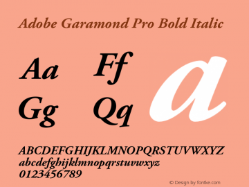 AGaramondPro-BoldItalic OTF 1.007;PS 001.000;Core 1.0.30;makeotf.lib1.4.1030 Font Sample