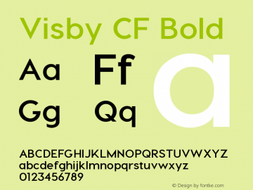 Visby CF Bold Version 1.005;PS 001.005;hotconv 1.0.70;makeotf.lib2.5.58329图片样张