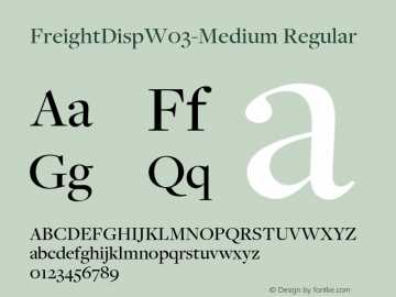 FreightDisp W03 Medium Version 3.00图片样张