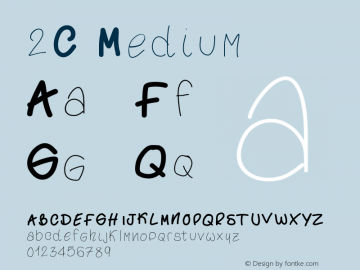 2C Medium Version 001.000图片样张