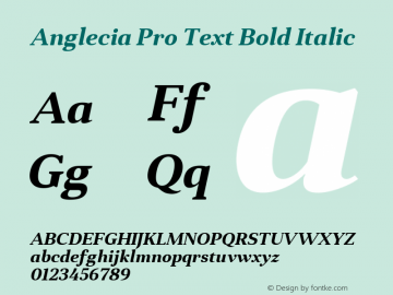 Anglecia Pro Text Bold Italic Version 001.000 Font Sample