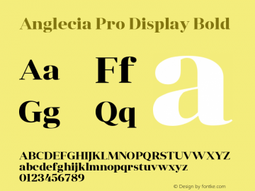 Anglecia Pro Display Bold Version 001.000 Font Sample