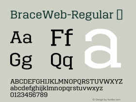 ☞BraceWeb Version 1.000;com.myfonts.easy.autodidakt.brace.regular.wfkit2.version.4obv Font Sample