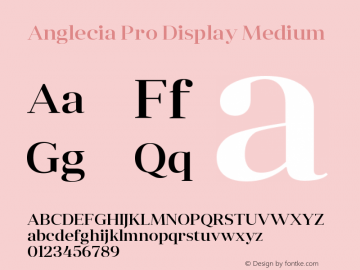 Anglecia Pro Display Medium Version 001.000图片样张