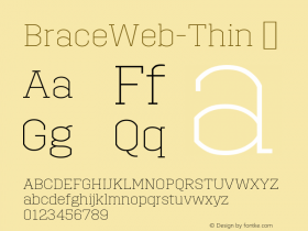 ☞BraceWeb Thin Version 1.000;com.myfonts.easy.autodidakt.brace.thin.wfkit2.version.4obz Font Sample