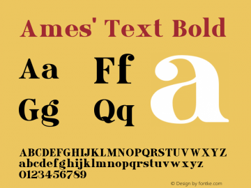 Ames' Text Bold Version 1.000;PS 001.000;hotconv 1.0.70;makeotf.lib2.5.58329图片样张