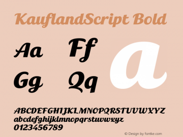 KauflandScript Bold Version 1.000图片样张