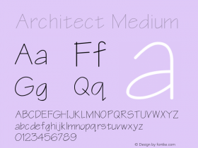 Architect Medium Version 001.001图片样张