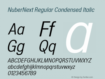 NuberNext Reg Cond Ita Version 001.000 October 2018;YWFTv17 Font Sample