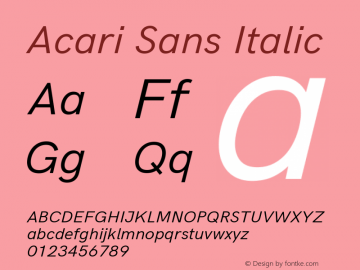 Acari Sans Italic Version 1.045 Font Sample