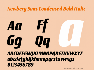 Newbery Sans Condensed Bold Italic Version 1.000 Font Sample