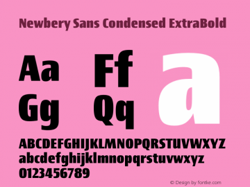 Newbery Sans Condensed ExtraBold Version 1.000 Font Sample