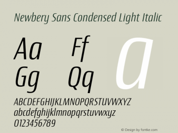 Newbery Sans Condensed Light Italic Version 1.000图片样张