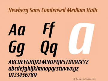 Newbery Sans Condensed Medium Italic Version 1.000 Font Sample