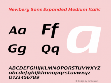 Newbery Sans Expanded Medium Italic Version 1.000 Font Sample