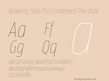 Newbery Sans Pro Condensed Thin Italic Version 1.000 Font Sample
